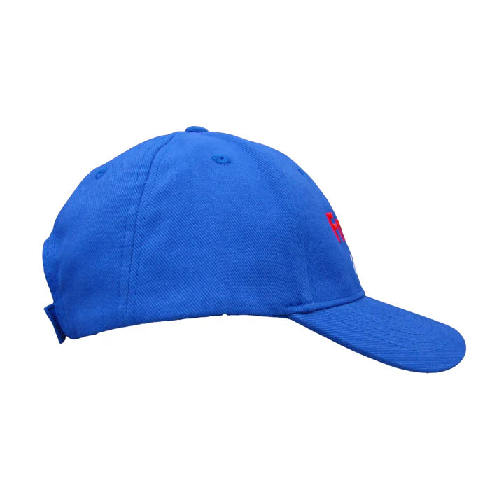 Embroidered Make Freedom Go Viral Hat