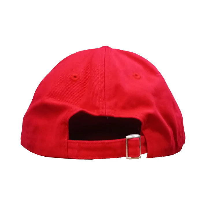 Embroidered Make Freedom Go Viral Hat